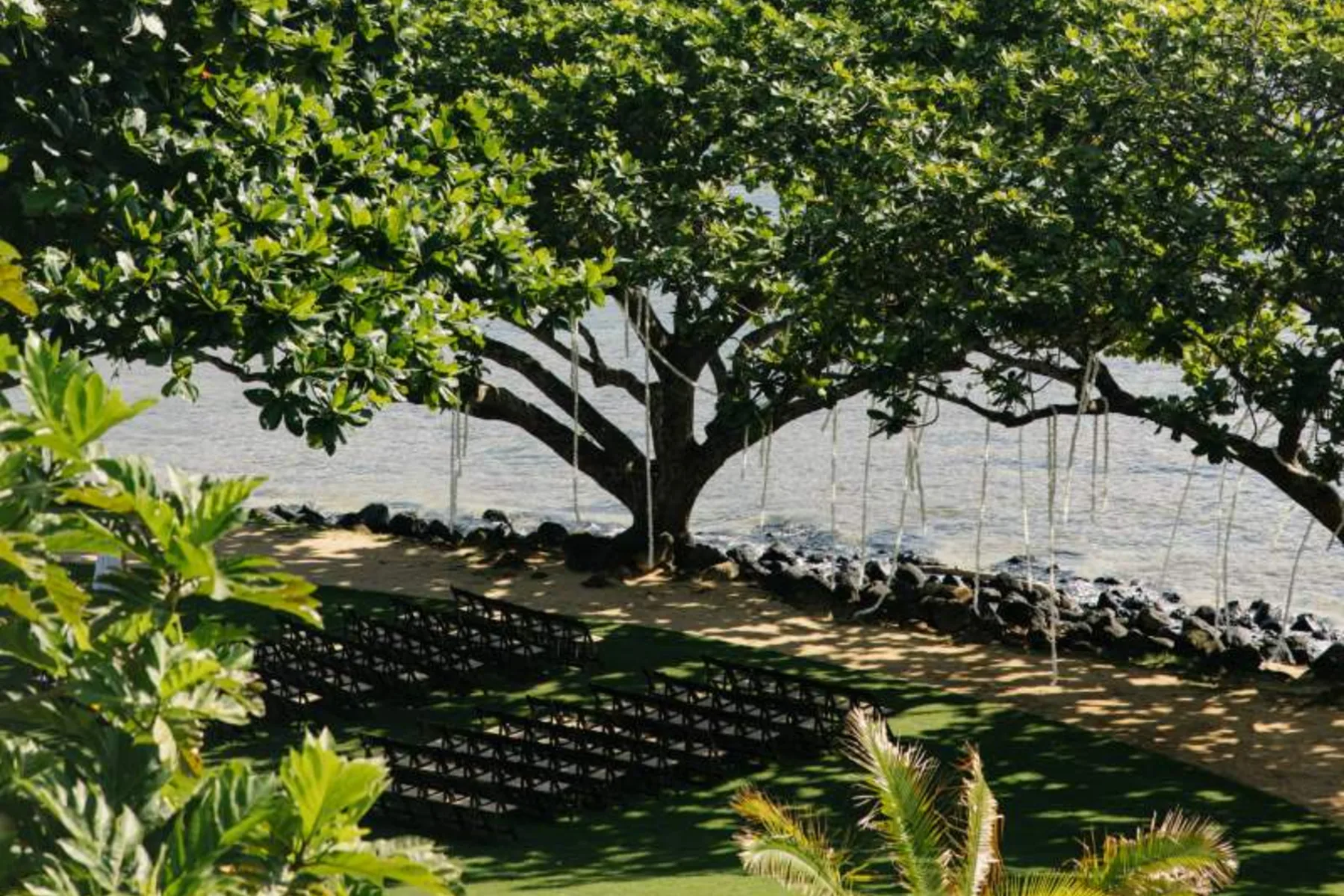 Outdoor ceremony seating beneath a coastal tree at 1 Hotel Hanalei Bay